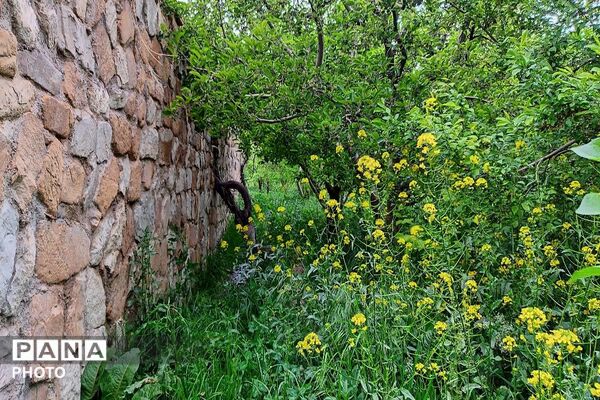 حال و هوای شهر بار بعد از بارش زیبای باران 