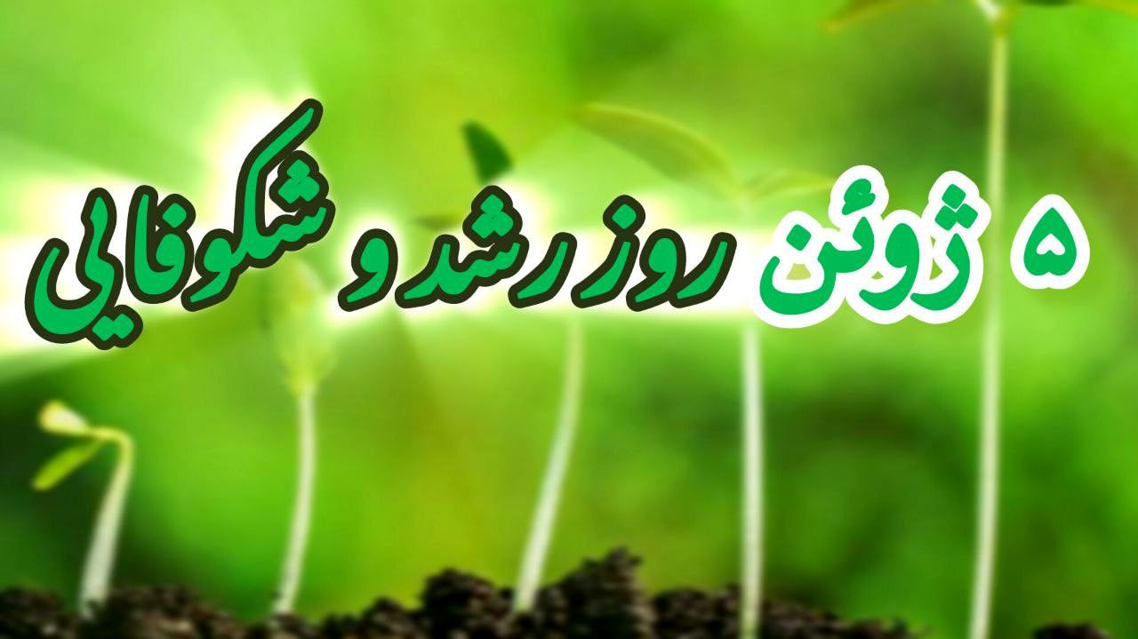 روز جهانی طبیعت؛ روز رشد و شکوفایی