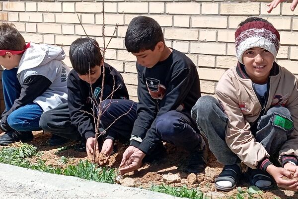 به یاد تو می‌کارم