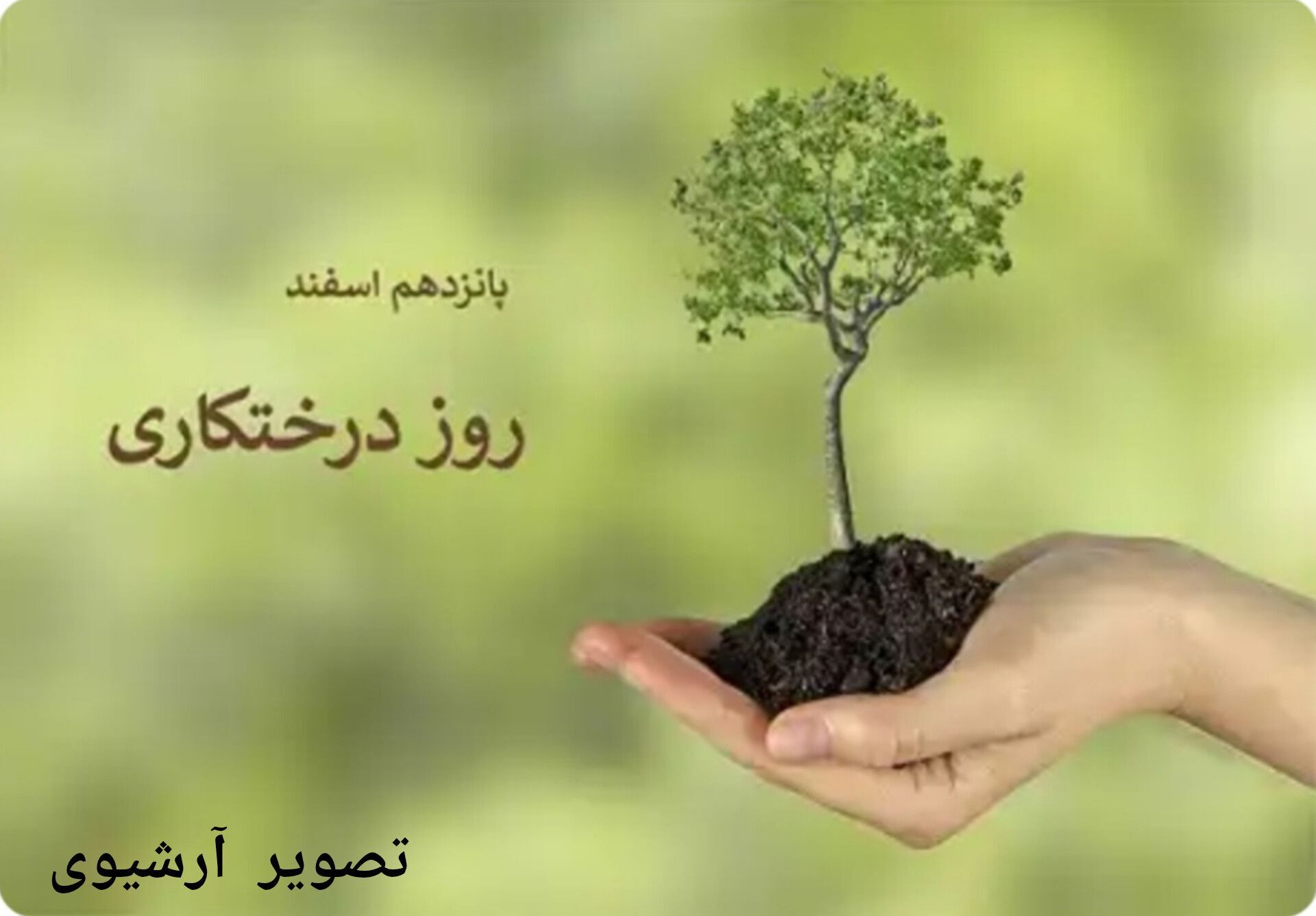 ۱۵ اسفند روز درختکاری مبارک باد 