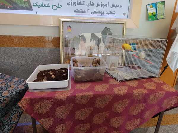 آیین رونمایی از آغاز پروژه سیستم‌های نوین آبیاری 