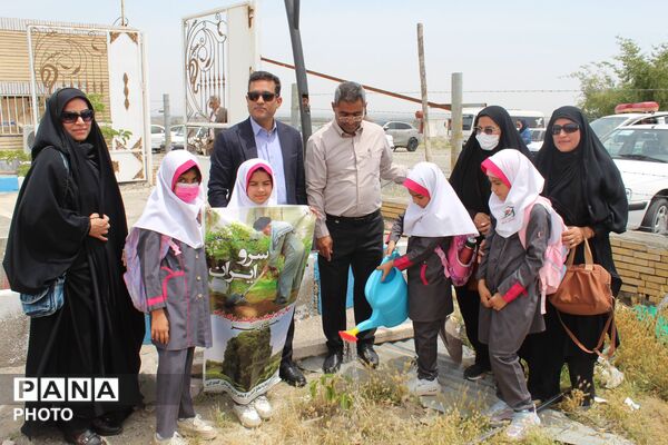 کاشت ۱۶۸ نهال به یاد شهدای مظلوم مدرسه شجره طیبه میناب توسط دانش‌آموزان شهرستان کهنوج