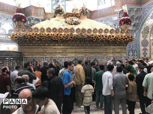 تصاویر دیدنی از حریم امن فاطمی در ایام ورود حضرت معصومه (ع) به شهر مقدس قم