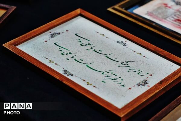 پژواک همبستگی در حریم دانش