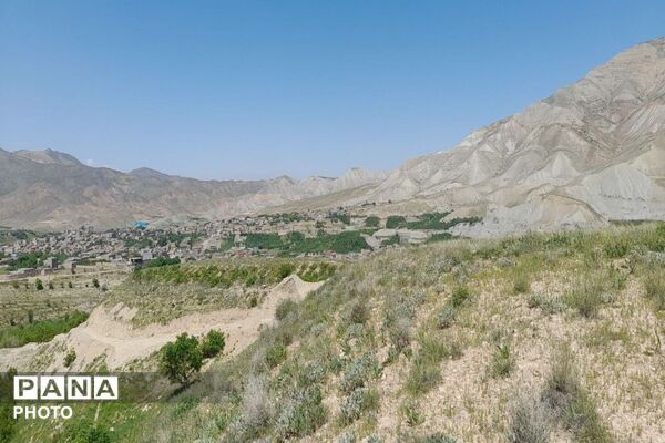 آلبوم تصویری از طبیعت زیبای شهر بار در اردیبهشت‌ماه  ۱۴۰۵ـ۲