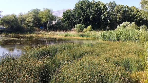 چشه برم، چشم‌انداز زیبایی‌ها در دل شهرستان لردگان