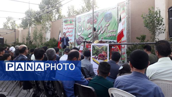 جشنواره آلبالو و گیلاس روستای اناج