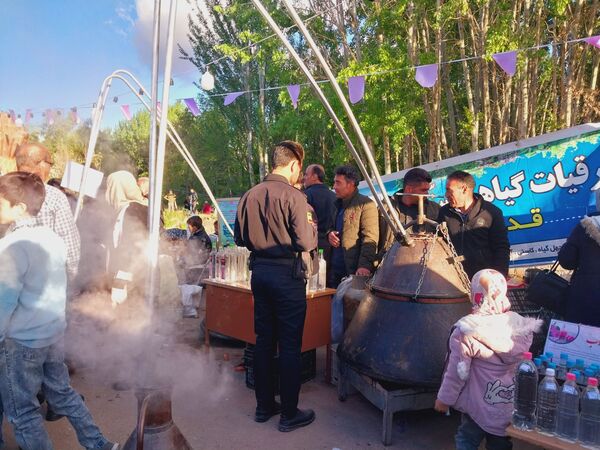 جشنواره ریواس در کوهسرخ