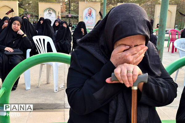 شهیدان توکل و مقامی؛ رهروان راه کربلا در دفاع از میهن