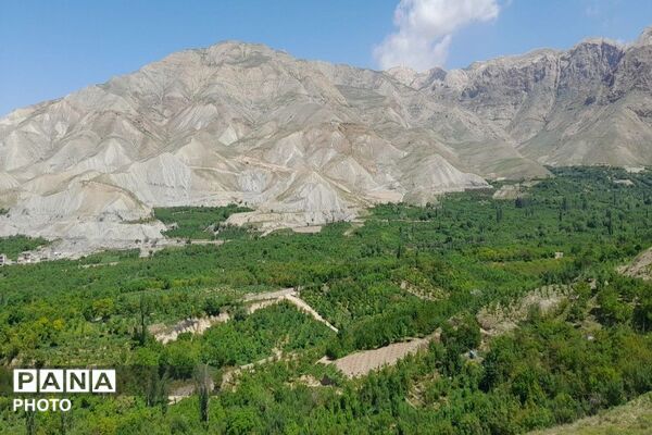 آلبوم تصویری از طبیعت زیبای شهر بار در اردیبهشت‌ماه  ۱۴۰۵ـ۲
