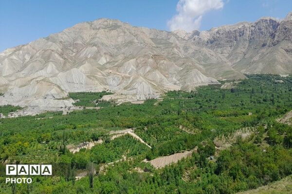 آلبوم تصویری از طبیعت زیبای شهر بار در اردیبهشت‌ماه  ۱۴۰۵ـ۲