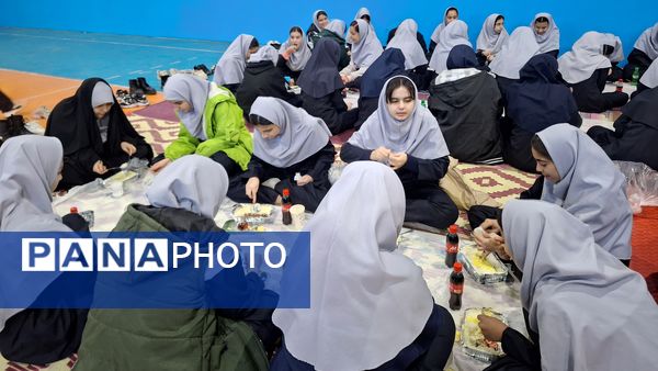 دومین روز از مرحله چهارم طرح تمشک در استان البرز