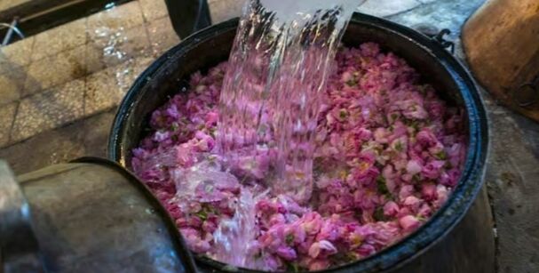 گلاب درمان طبیعی برای آرامش روح و جسم است
