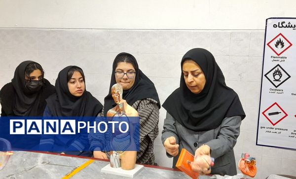 کارگاه تشریح قلب و آناتومی بدن انسان