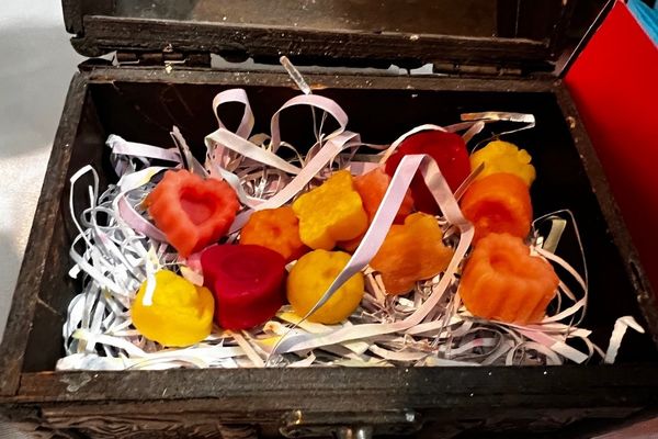 پایان کار نمایشگاه گیاهان دارویی پژوهش‌سرای کاوش کهریزک 