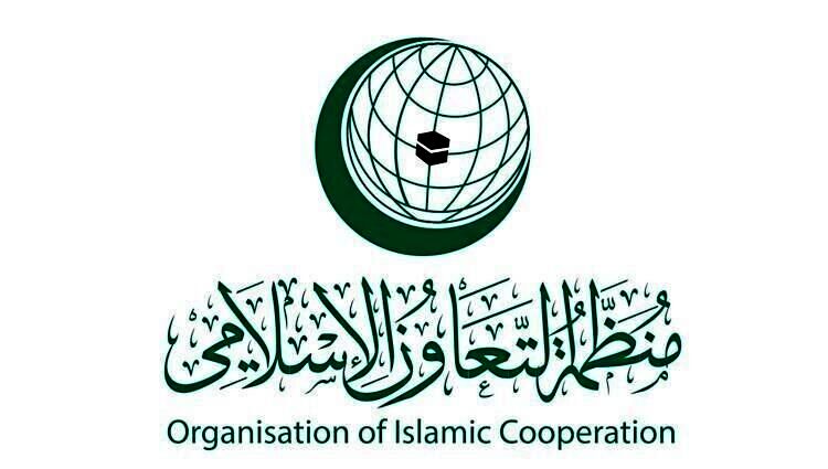 استفاده آمریکا از حق وتو علیه عضویت کامل فلسطین، نقض منشور سازمان ملل است