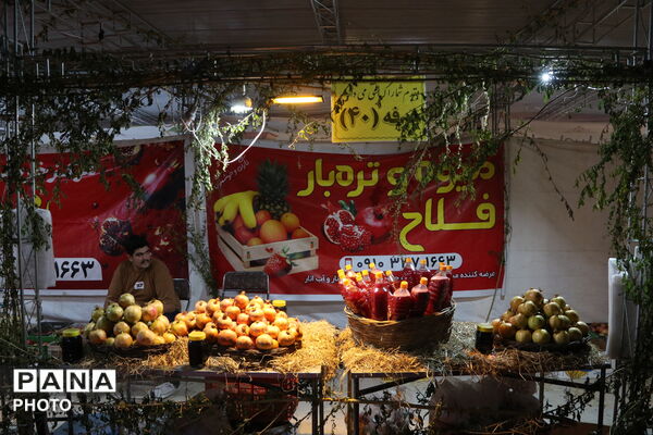 جشنواره انار تفت؛ پیوند کشاورزی، فرهنگ و گردشگری