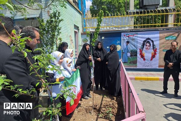 غرس نهال در مدارس ناحیه دو شهرری به یاد شهدای جنگ رمضان