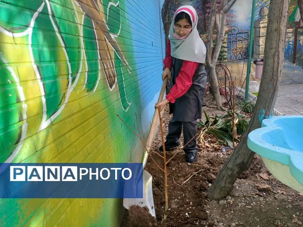 دانش‌آموزان و مسئولین شهرستان ملارد، در روز درختکاری جوانه‌های امید را به زمین هدیه دادند