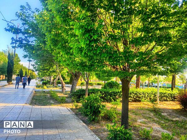  بزرگترین پارک خطی شرق کشور سرسبز تر از همیشه