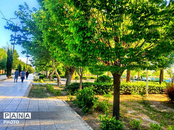  بزرگترین پارک خطی شرق کشور سرسبز تر از همیشه