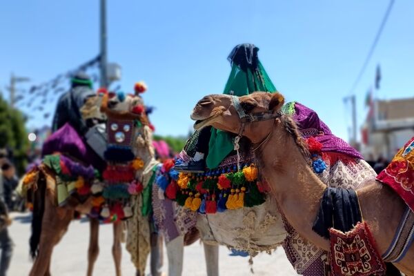 دمق به رنگ عاشورا
