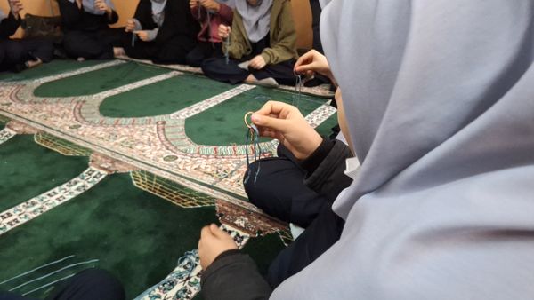 دومین روز از مرحله چهارم طرح تمشک در استان البرز