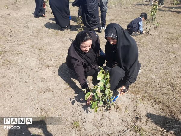 ادای احترام به دانش‌آموزان شهید میناب با کاشت نهال در رودسر