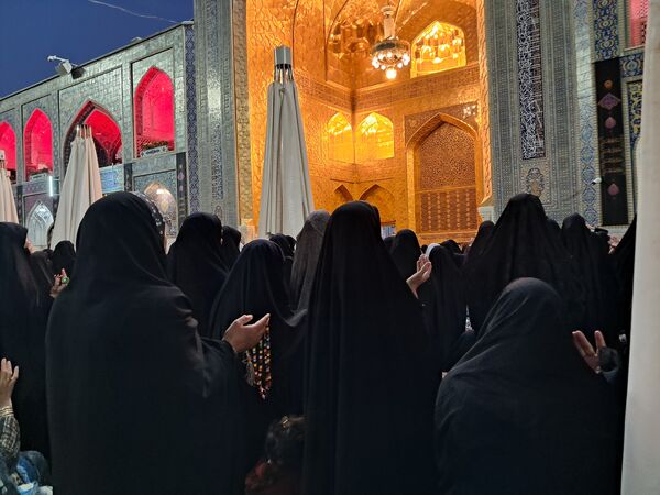 کبوتر حرم مشهد مقدس