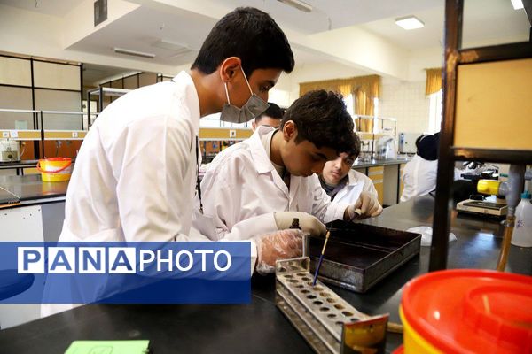 دوره‌های آموزشی هشتمین کارسوق ملی مهندسی ژنتیک در زنجان