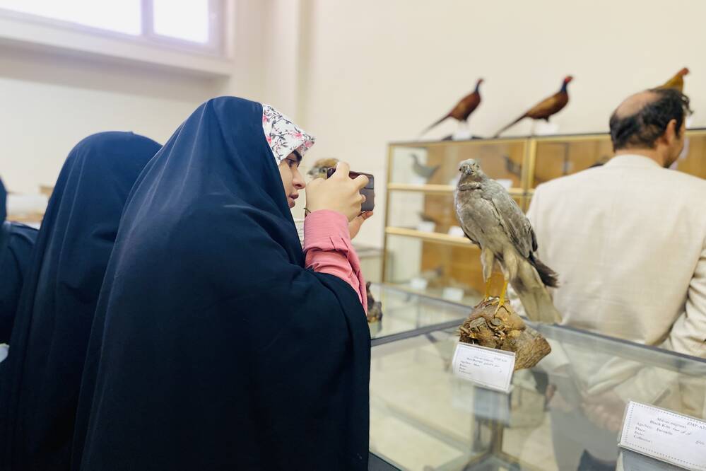 گالری
