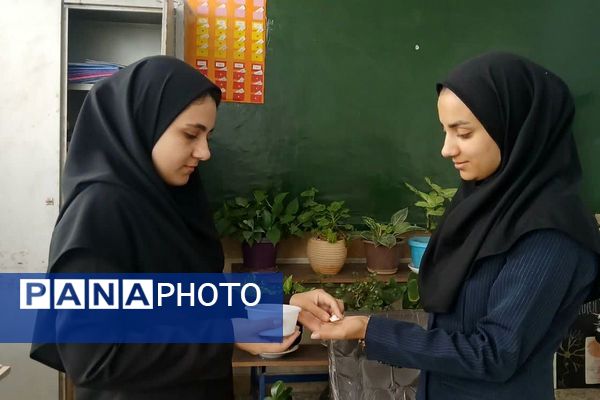 افتتاحیه طرح سفیران سلامت فیروزکوه همراه با اهدای کارت و توزیع مکمل