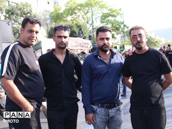 مشهد تا حرم، پیاده در سوگ امام هشتم