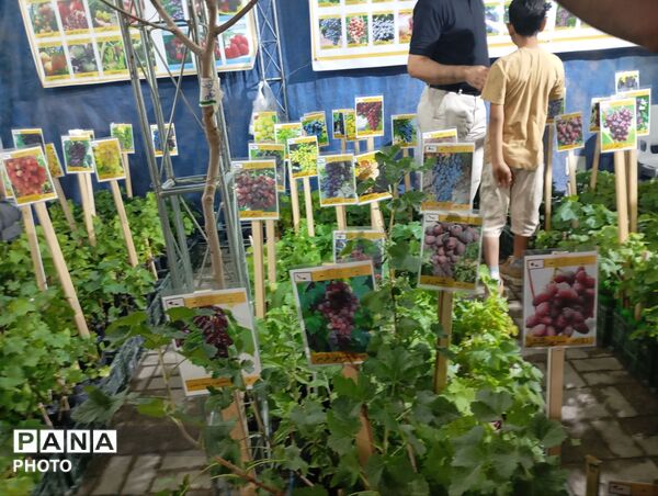 نمایشگاه گل و گیاه مشهد فرصتی برای دیدن زیبایی‌های طبیعت و خرید