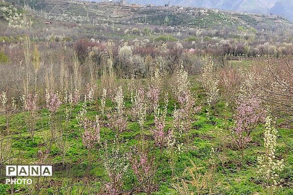 حال هوای شهر بار نیشابور بعد از بارش باران زیبا