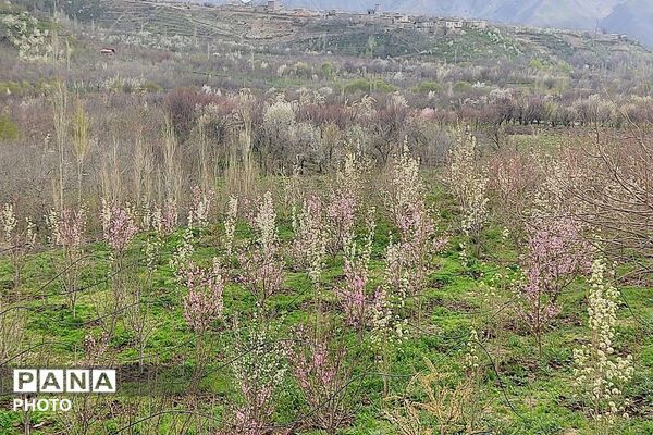 حال هوای شهر بار نیشابور بعد از بارش باران زیبا