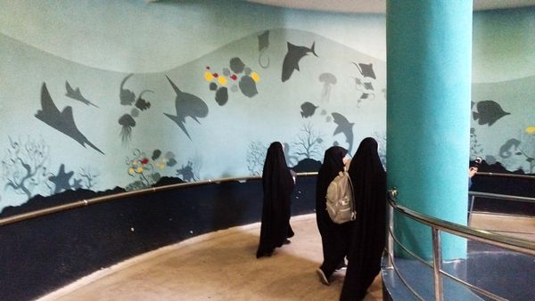 اردوی علمی تفریحی خبرنگاران پانای استان اصفهان
