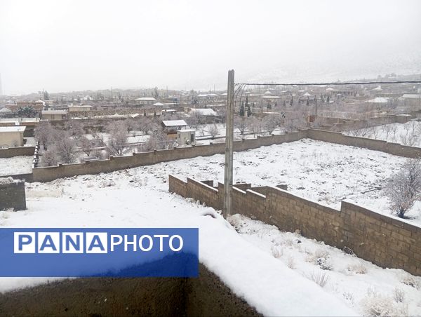 صبحی که خورشید جایش را به برف داد