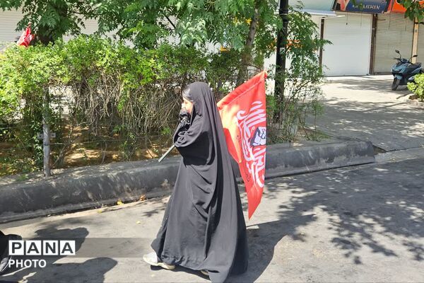پیاده‌روی جاماندگان اربعین به سوی شاهچراغ (ع)