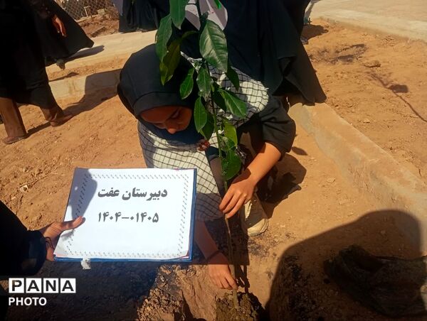 دانش‌آموزان دبیرستان عفت در کاشت ۱۰۰۰ درخت شریک شدند