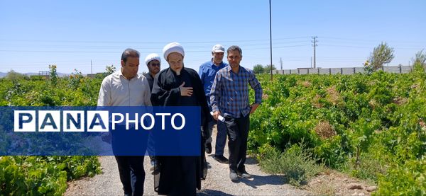 بازدید امام جمعه و رییس اداره کمیته امداد شهرستان خلیل‌آباد از کشاورزان 