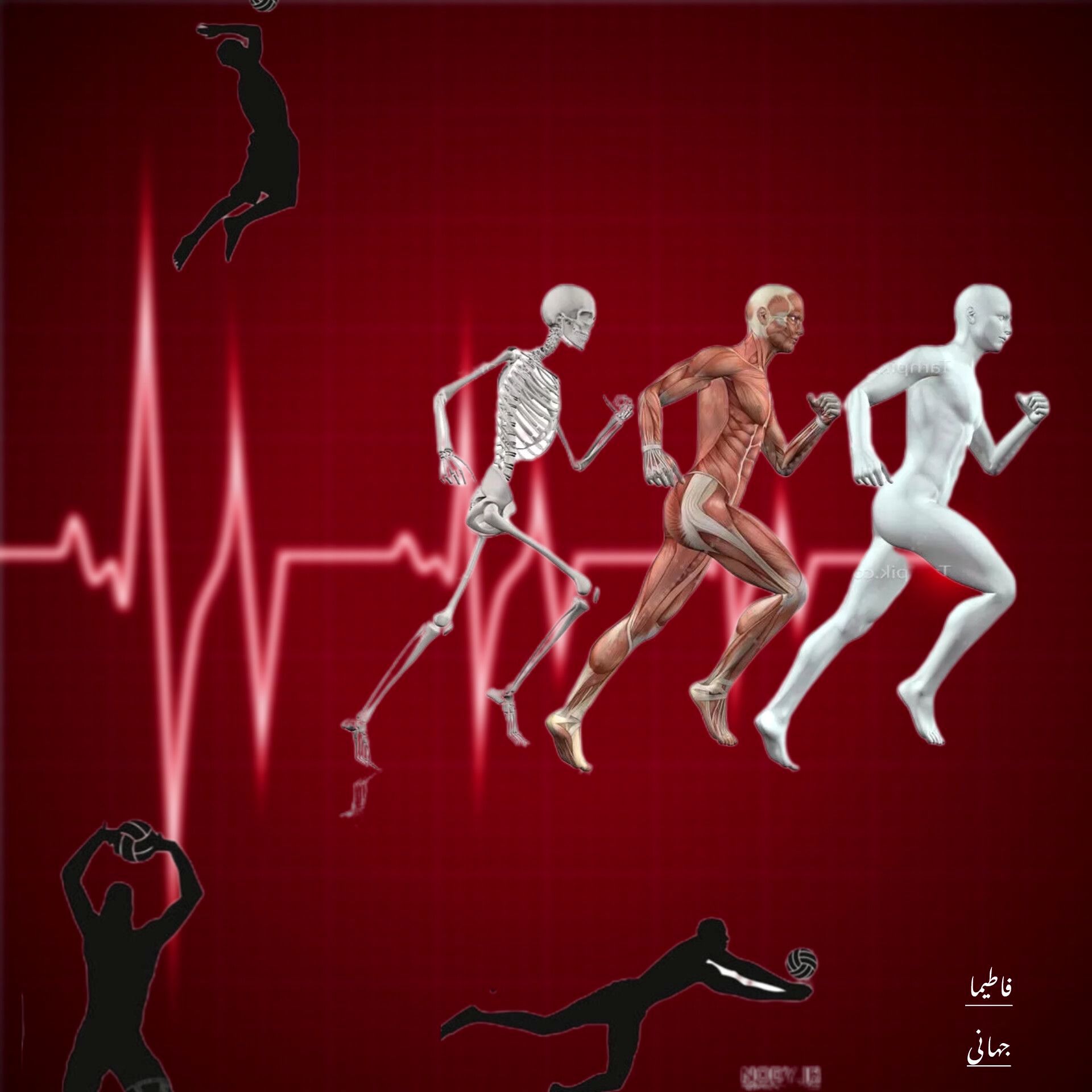 درخشش ورزشکاران دانش‌آموز سامن در میادین استانی