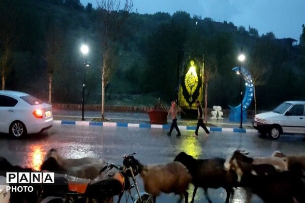 حال و هوای شهر بار بعد از بارش زیبای باران 