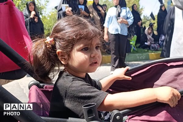 «جاماندگان اربعین»؛ دل‌هایی که راه کربلا را با عشق طی می‌کنند