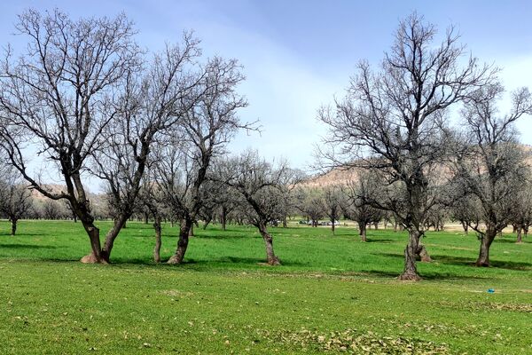 بهار، آغاز دوباره‌ی زندگی طبیعت 