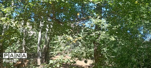 حال و هوای دل‌انگیز روستای مایان در آخرین ماه تابستان