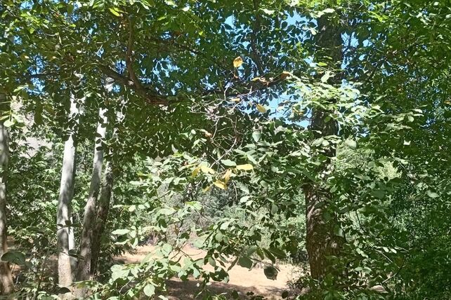 حال و هوای دل‌انگیز روستای مایان در آخرین ماه تابستان