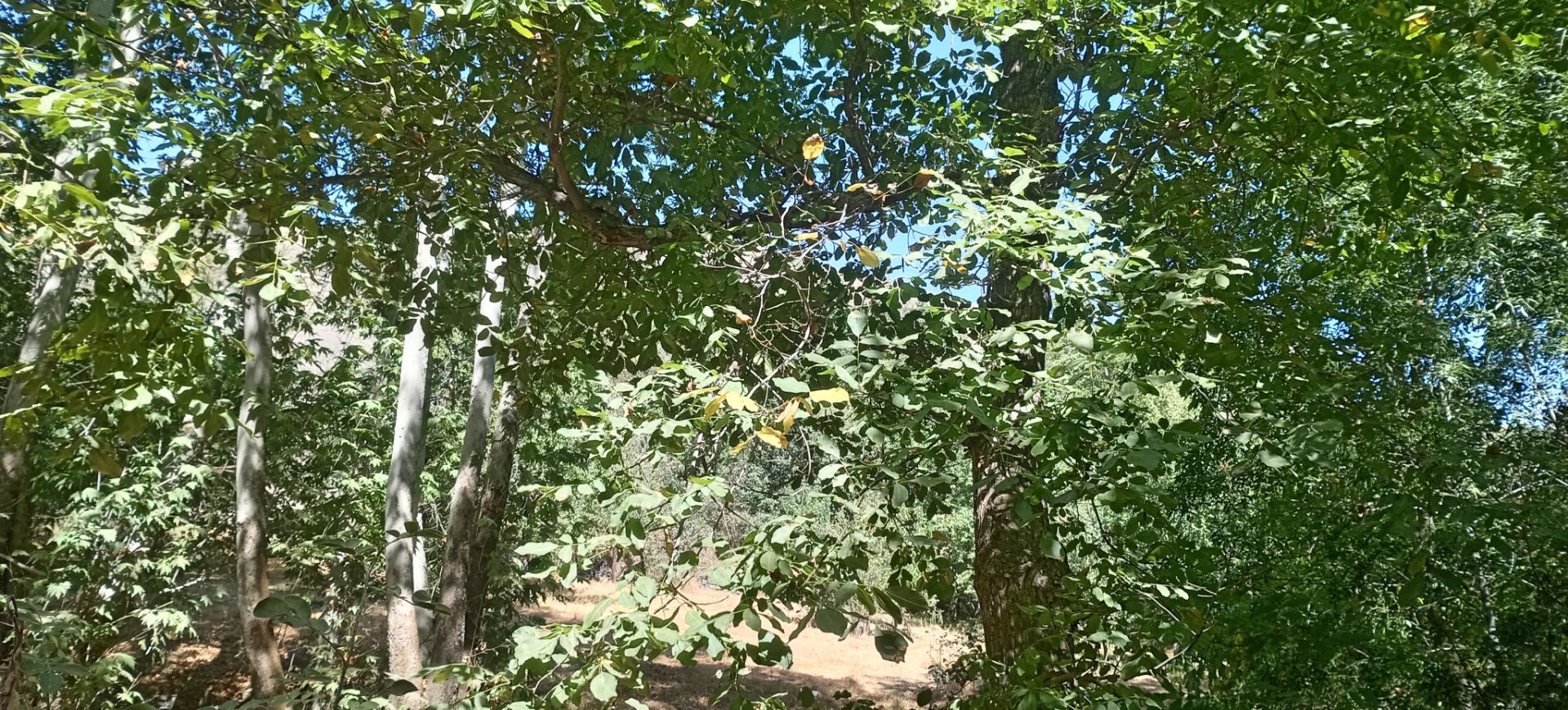 حال و هوای دل‌انگیز روستای مایان در آخرین ماه تابستان