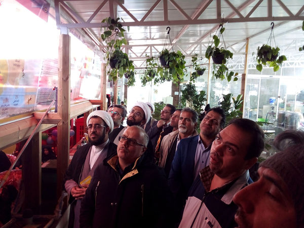 بازدید معاونان پرورشی مدارس قم از «شهر زنبورها»