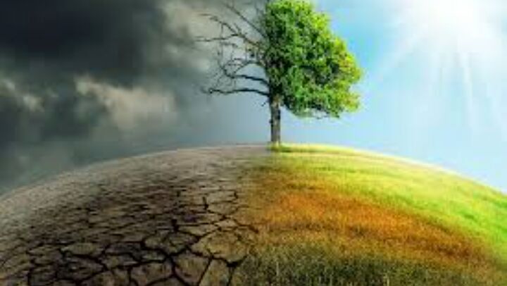 تدوین برنامه ملی درس محیط زیست، حرکت به سوی آموزش از مهد کودک تا پایان متوسطه 